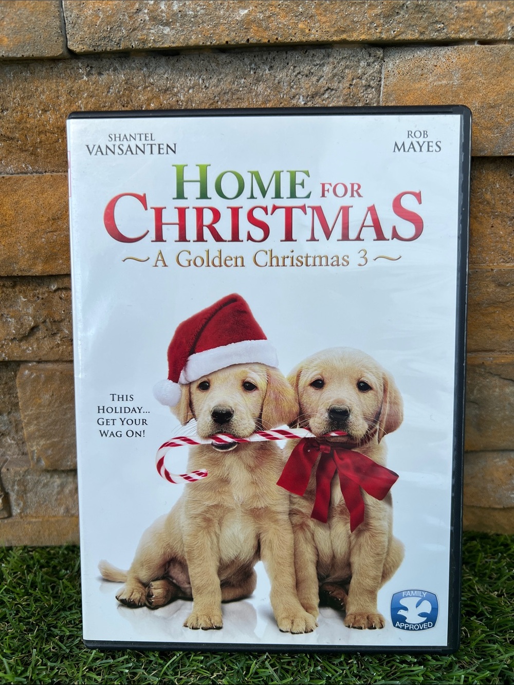 📀 3/$25 📀  RETRO Holiday media DVDHome for Christmas a Golden Christmas 3, 2012